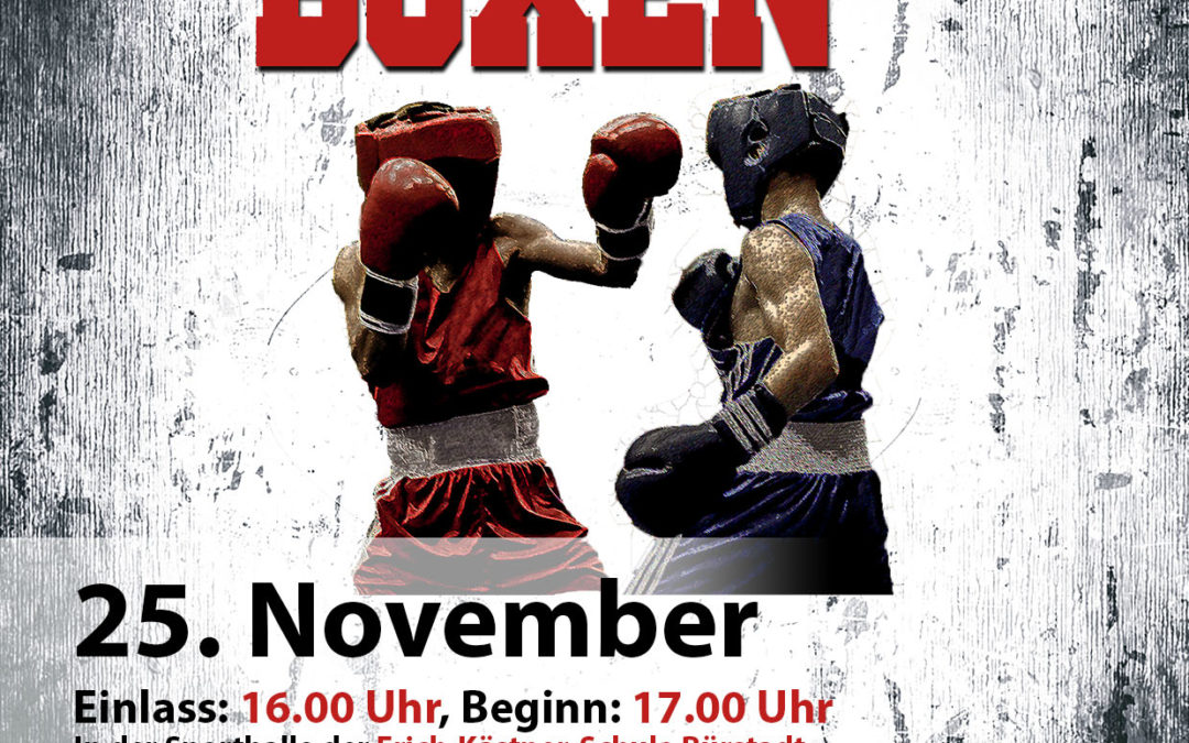 6. Boxgala in Bürstadt